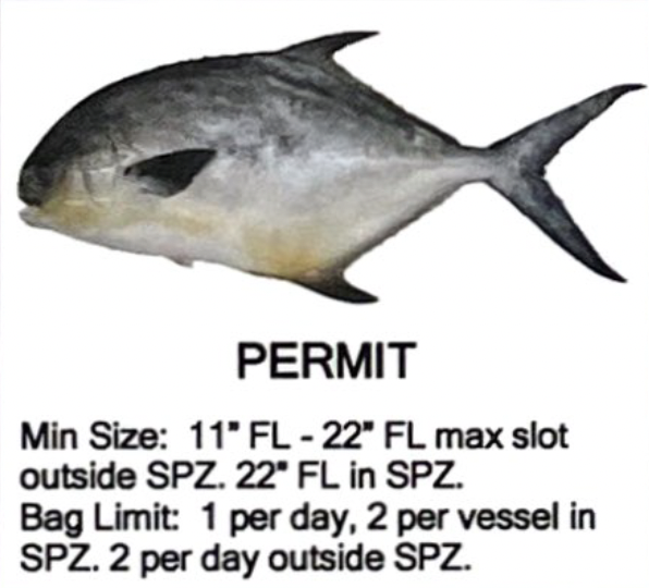 Permit