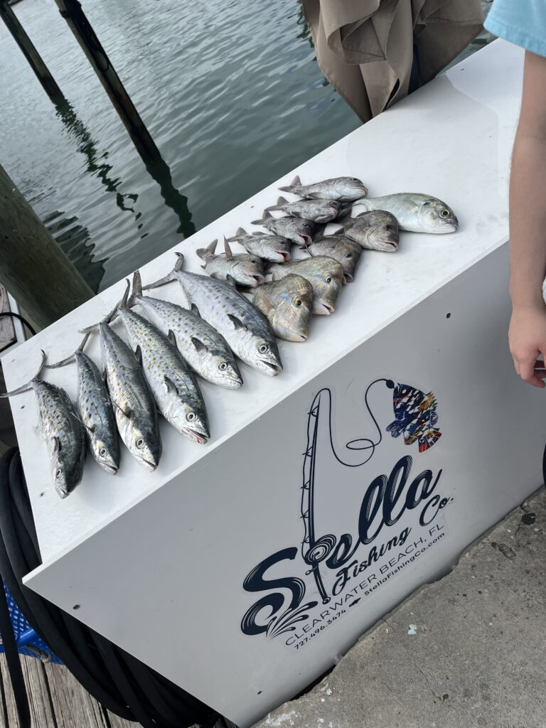 The Daily Catch | Fishing Report – March 27, 2023