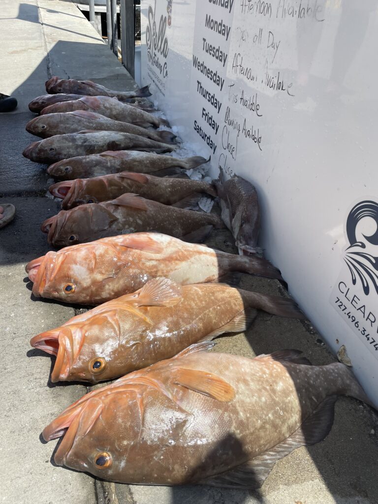 The Daily Catch | Fishing Report – May 10, 2023