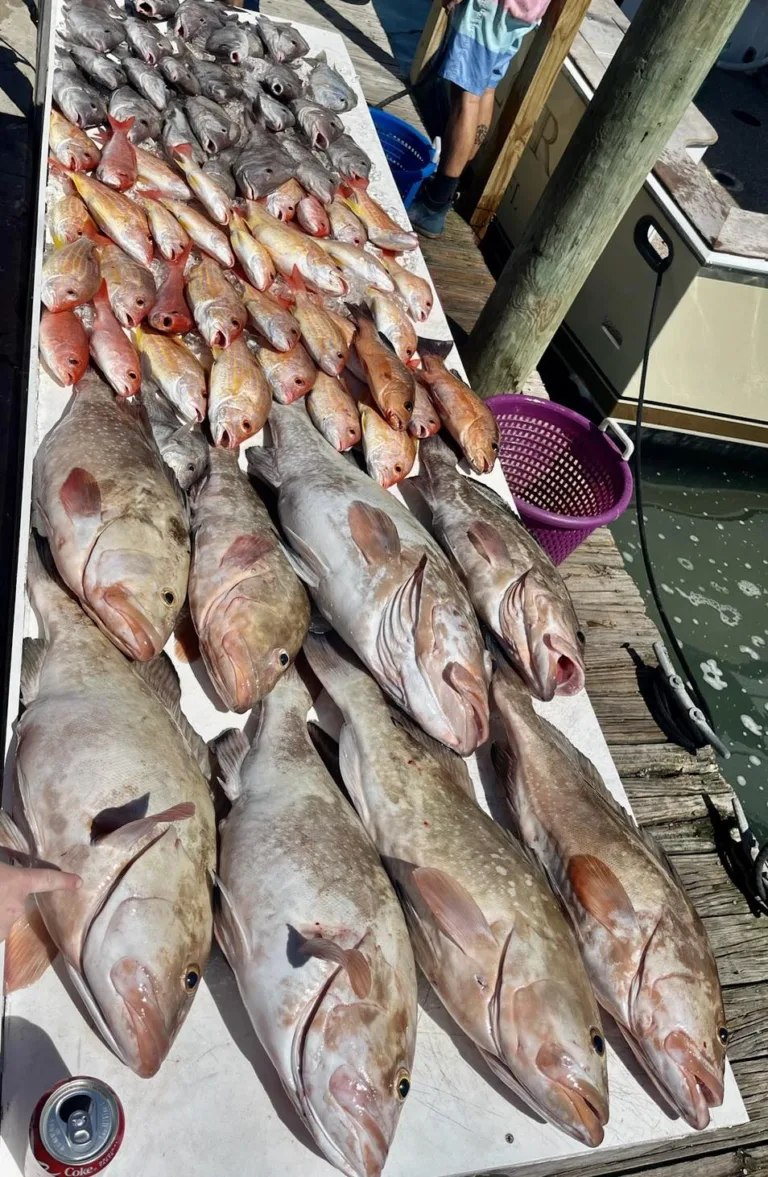 The Daily Catch | Fishing Report – July 2023