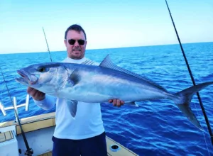 Fish of the Month | Amberjack