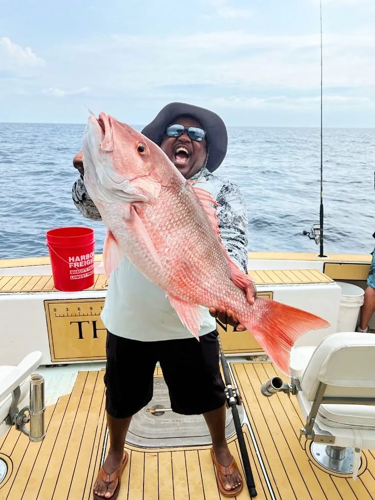 The Daily Catch | Fishing Report – August 2024