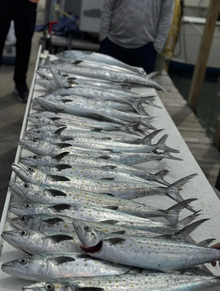 The Daily Catch | Fishing Report – October 2023