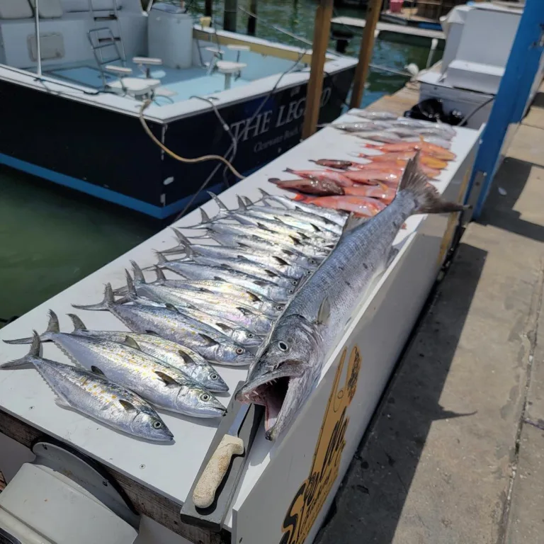 The Daily Catch | Fishing Report – May 2024