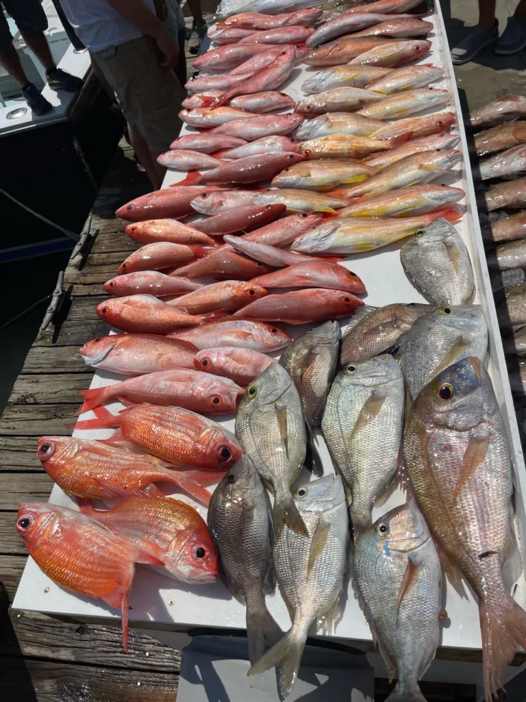 The Daily Catch | Fishing Report – April 2024