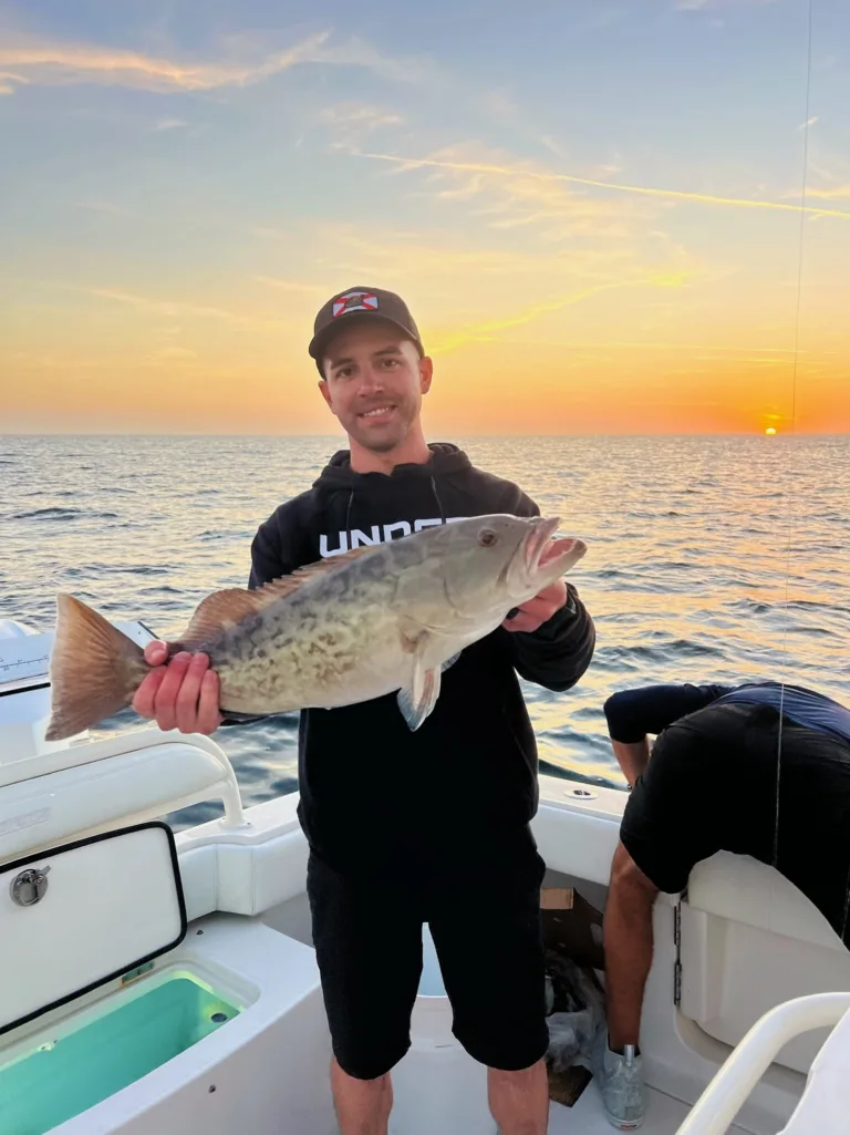 The Daily Catch | Fishing Report – November 2023