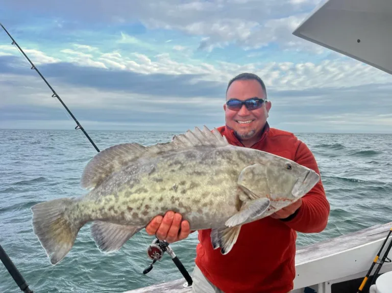 Fish of the Month | Gag Grouper