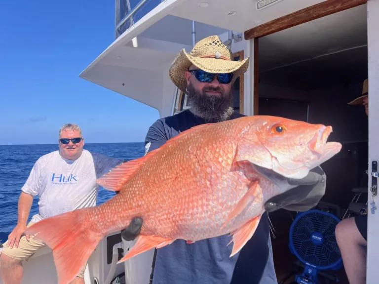 Fish of the Month | Red Snapper
