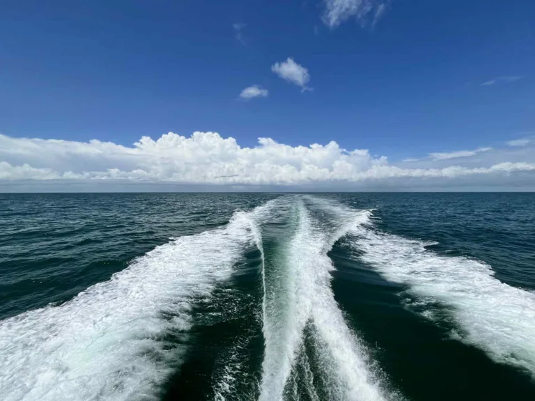 The Daily Catch | Fishing Report – July 2025