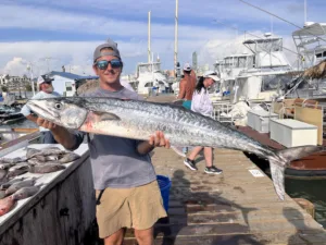 Fish of the Month | Kingfish