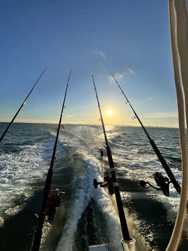 The Daily Catch | Fishing Report – October 2025