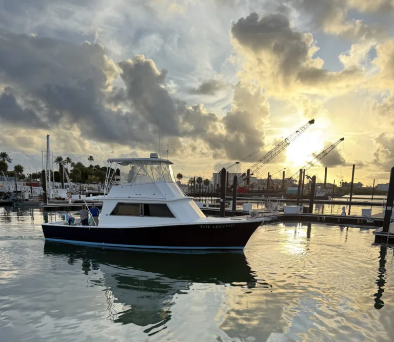The Daily Catch | Fishing Report – August 2026